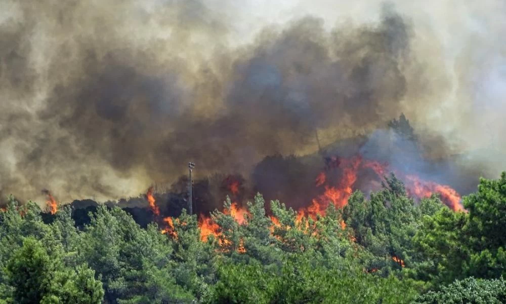 Ισπανία: Σε εμπρησμό οφείλεται η φωτιά στη Γκαλίθια που καίει εκτός ελέγχου
